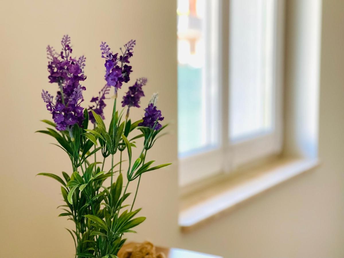 Dwie Sowy By Baltic Home Miedzyzdroje Dış mekan fotoğraf