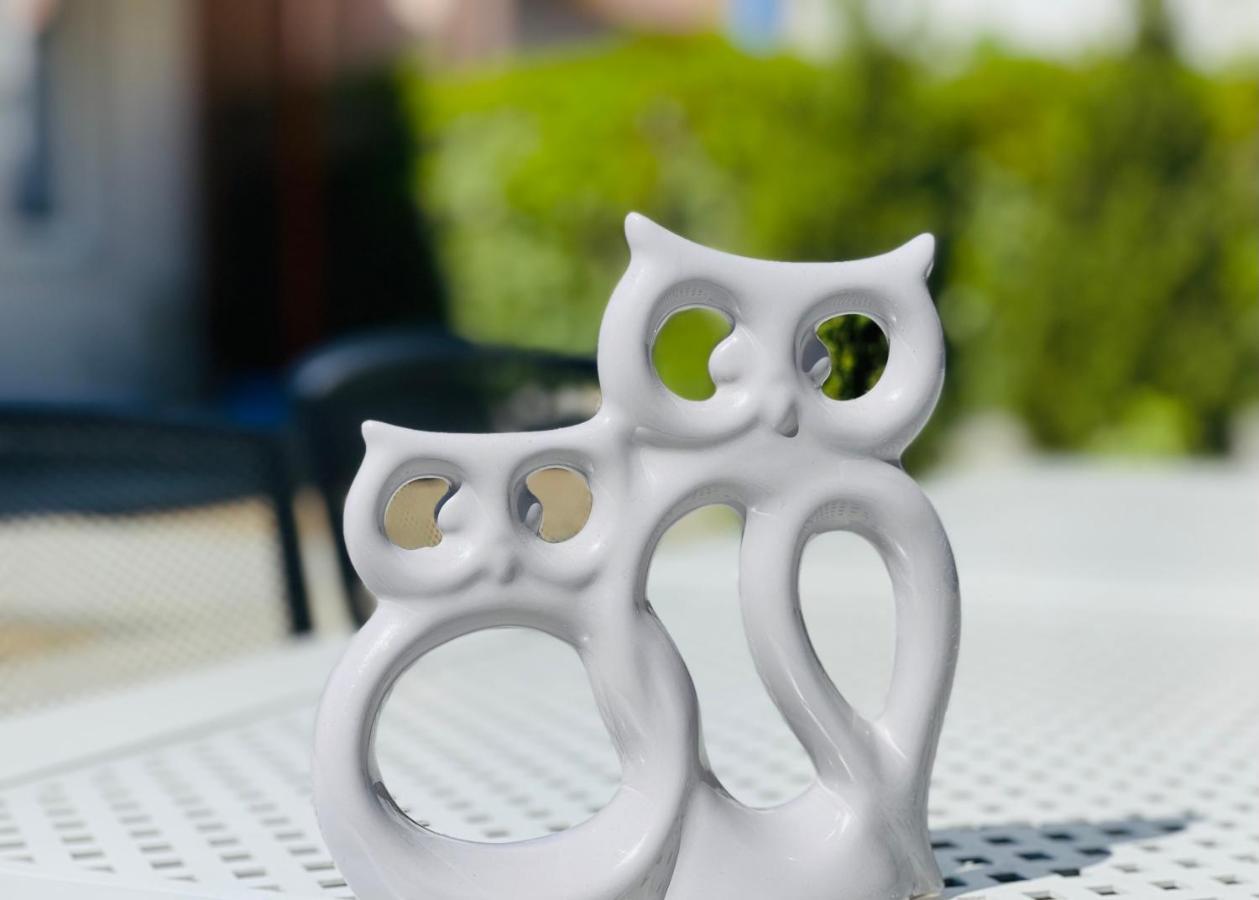 Dwie Sowy By Baltic Home Miedzyzdroje Dış mekan fotoğraf