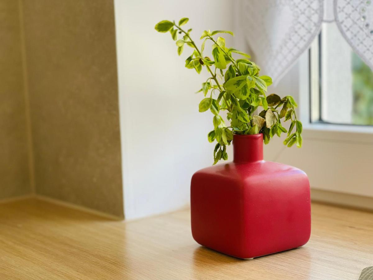 Dwie Sowy By Baltic Home Miedzyzdroje Dış mekan fotoğraf